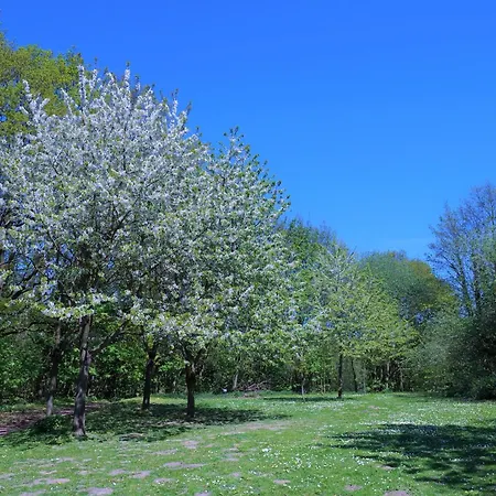 Panoramic App A17-2 *