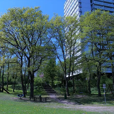 Panoramic App A17-2